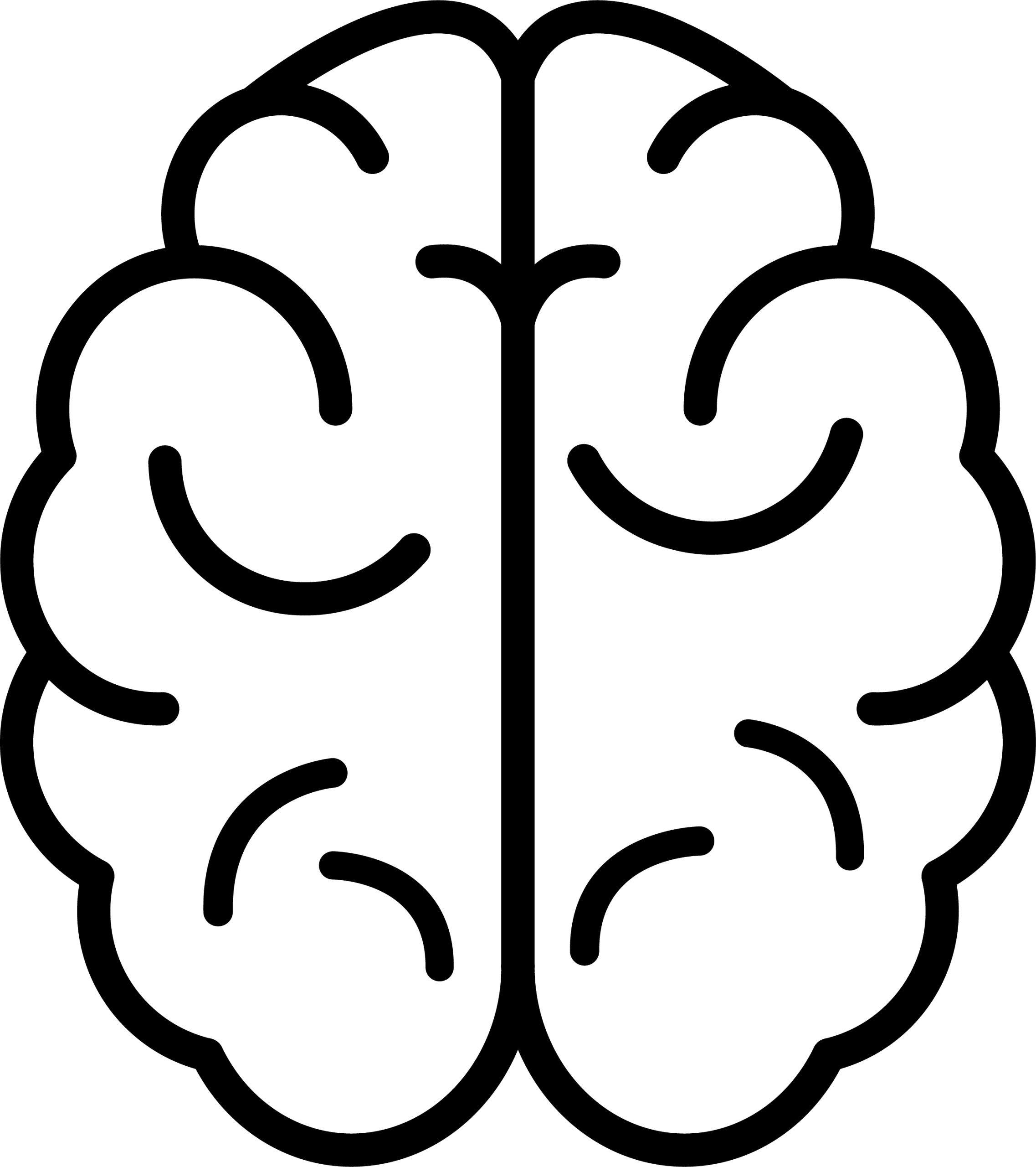 Optimisation du système nerveux