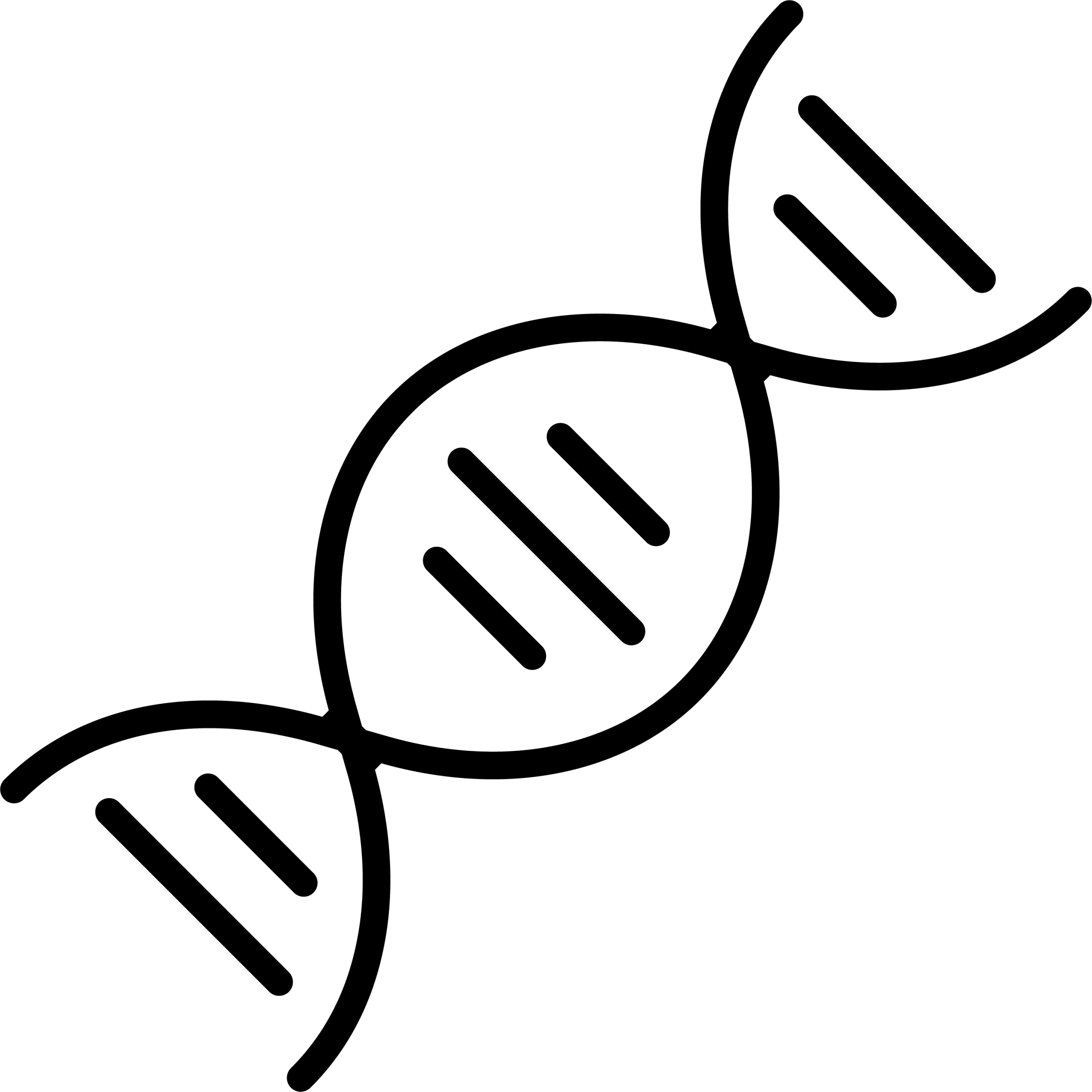 regeneration cellulaire